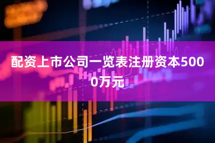 配资上市公司一览表注册资本5000万元