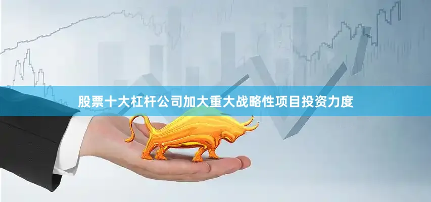 股票十大杠杆公司加大重大战略性项目投资力度
