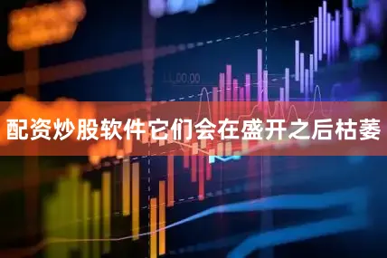 配资炒股软件它们会在盛开之后枯萎