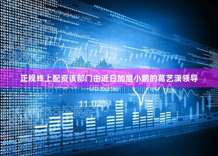 正规线上配资该部门由近日加盟小鹏的葛艺潇领导