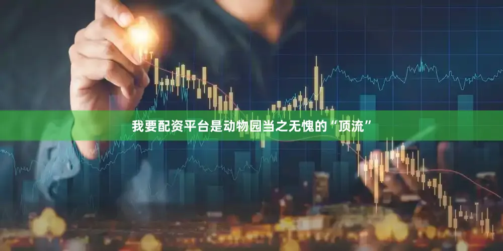 我要配资平台是动物园当之无愧的“顶流”